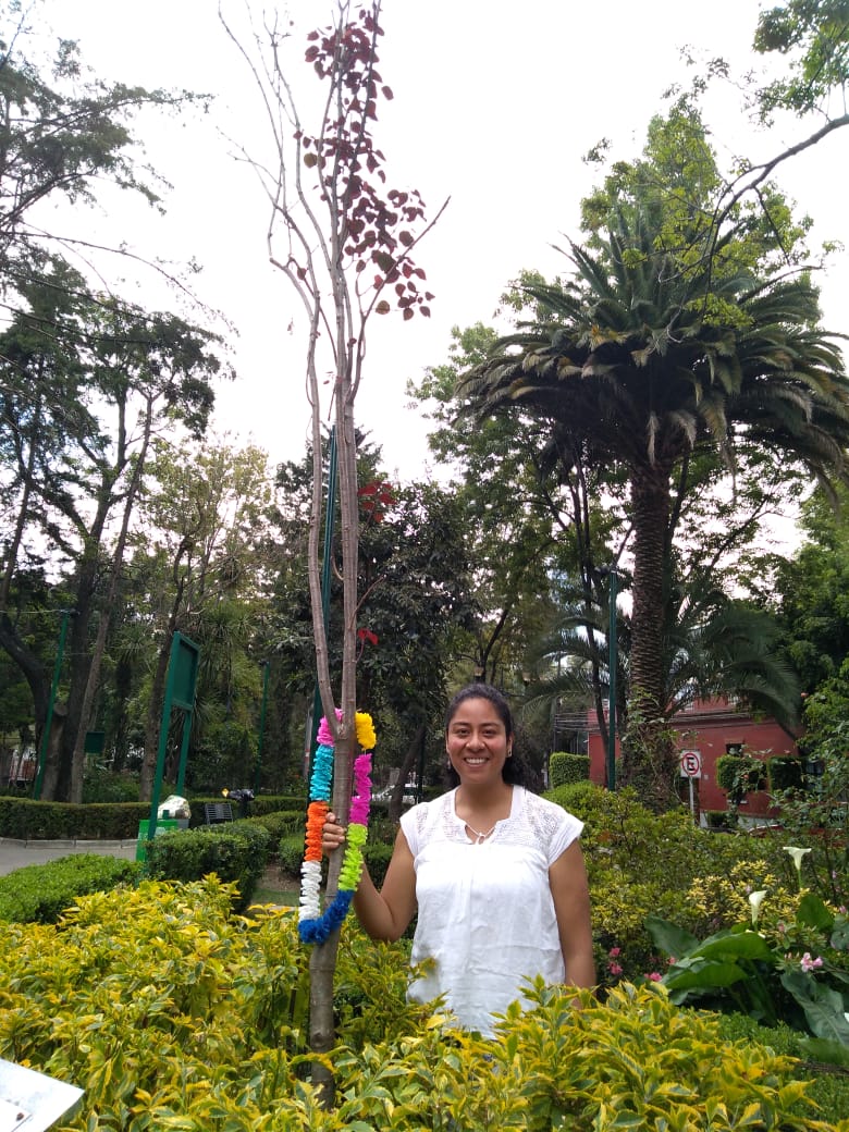 img 20190303 wa0024 a